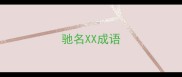 驰名XX成语