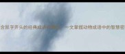 包含鼠字开头的经典成语有哪些一文掌握动物成语中的智慧密码