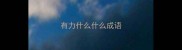 有力什么什么成语