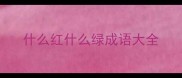 什么红什么绿成语大全