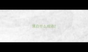 黑白什么成语
