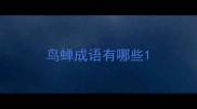 鸟蝉成语有哪些