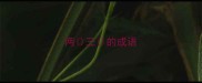 两三的成语
