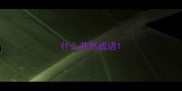 什么井然成语