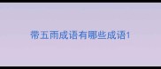 带五雨成语有哪些成语