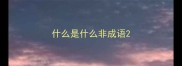 什么是什么非成语