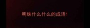 明珠什么什么的成语