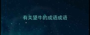 有关望牛的成语成语
