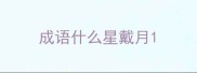 成语什么星戴月