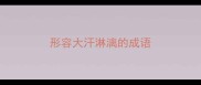形容大汗淋漓的成语