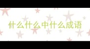 什么什么中什么成语
