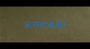 宋芳的成语