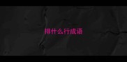 排什么行成语