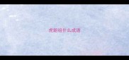 虎能组什么成语