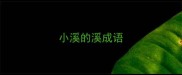 小溪的溪成语
