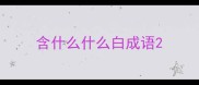 含什么什么白成语