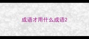 成语才用什么成语