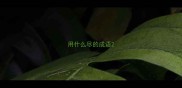 用什么尽的成语