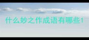 什么妙之作成语有哪些