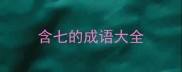 含七的成语大全