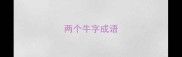 两个牛字成语