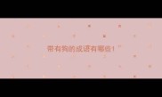 带有狗的成语有哪些