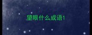 望眼什么成语