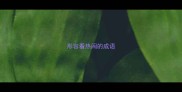 形容看热闹的成语