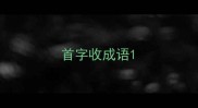 首字收成语