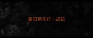 重阳菊花打一成语