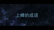 上蜂的成语