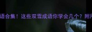 双雪的冷门成语合集这些双雪成语你学会几个附用法和近义词