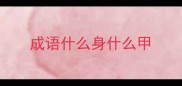 成语什么身什么甲