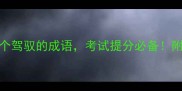 成语大全10个驾驭的成语考试提分必备附高效记忆法