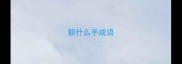 额什么手成语
