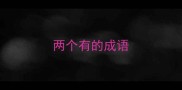 两个有的成语