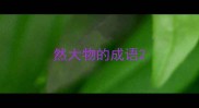 然大物的成语