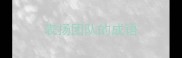 表扬团队的成语
