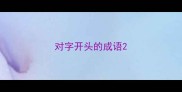 对字开头的成语