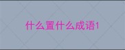 什么置什么成语