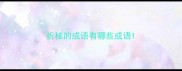 折桂的成语有哪些成语