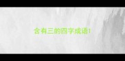 含有三的四字成语