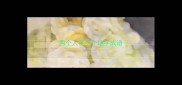 两个人字一个地字成语