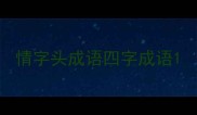 情字头成语四字成语