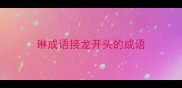 琳成语接龙开头的成语