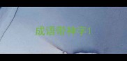 成语带神字