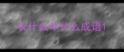长什么年什么成语