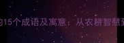 包含耙字的15个成语及寓意从农耕智慧到人生哲理