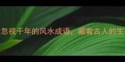 天井通天一个被忽视千年的风水成语藏着古人的生存智慧与宇宙密码