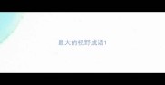 最大的视野成语